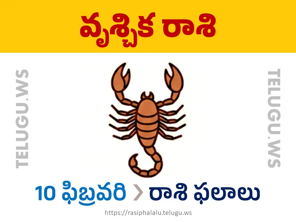 Today Horoscope Scorpio వృశ్చిక రాశి 10 ఫిబ్రవరి 2026 రాశి ఫలాలు